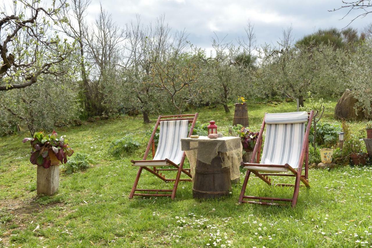 蒙蒂塞切诺Agriturismo Campo Alla Piana别墅 外观 照片