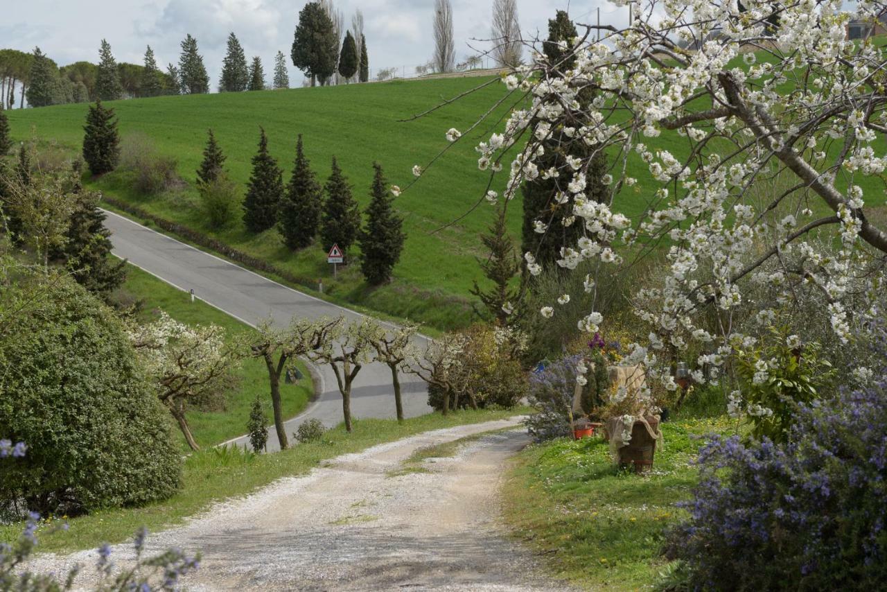 蒙蒂塞切诺Agriturismo Campo Alla Piana别墅 外观 照片