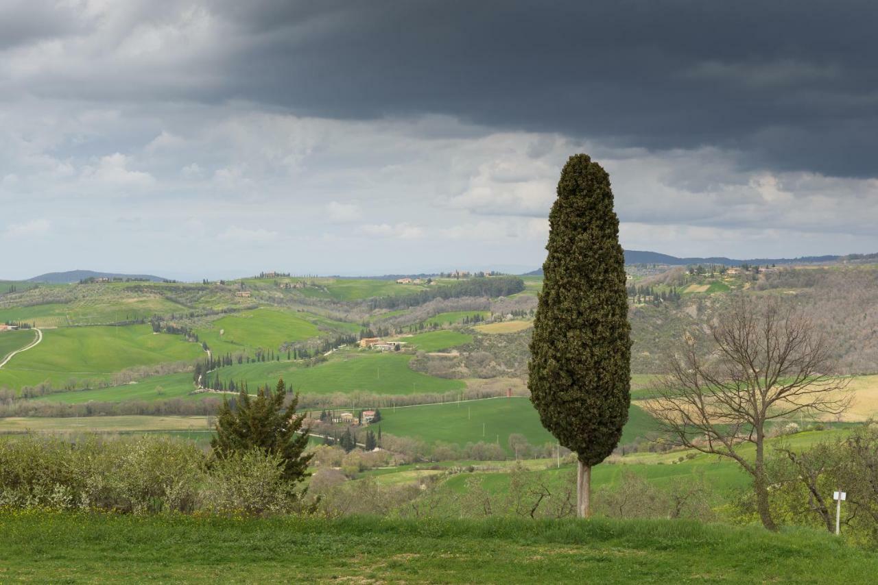 蒙蒂塞切诺Agriturismo Campo Alla Piana别墅 外观 照片