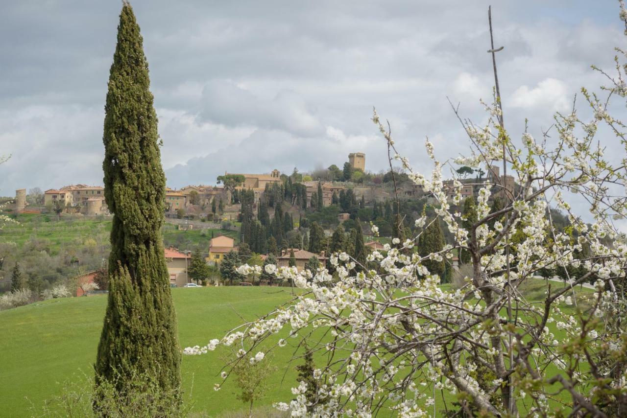 蒙蒂塞切诺Agriturismo Campo Alla Piana别墅 外观 照片